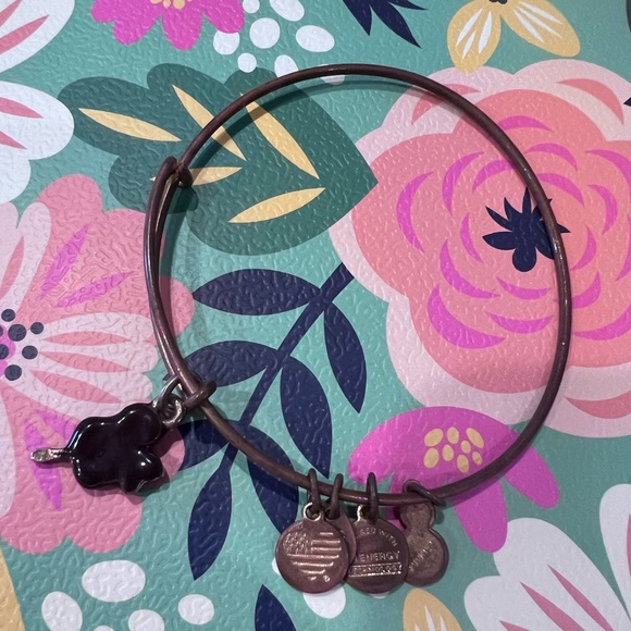 Disney parks Mickey bar Alex and Ani - Picture 2 of 5